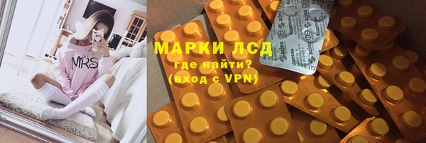 винт Алзамай