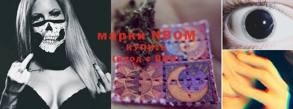 винт Алзамай