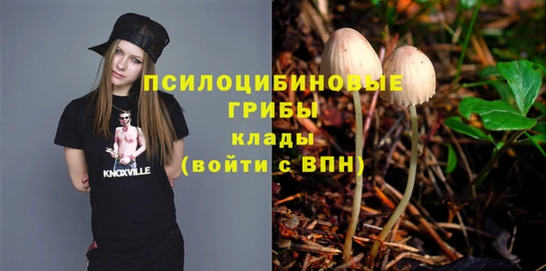 винт Алзамай