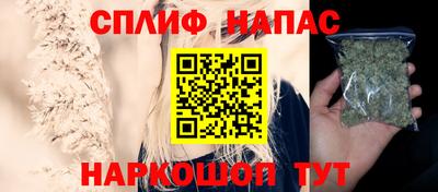 сатива Ставрополь