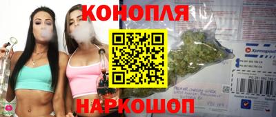 сатива Ставрополь
