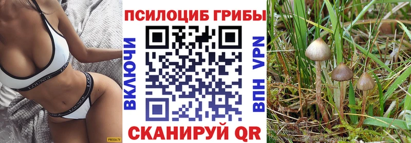 Псилоцибиновые грибы Psilocybe  МЕГА зеркало  Арзамас 