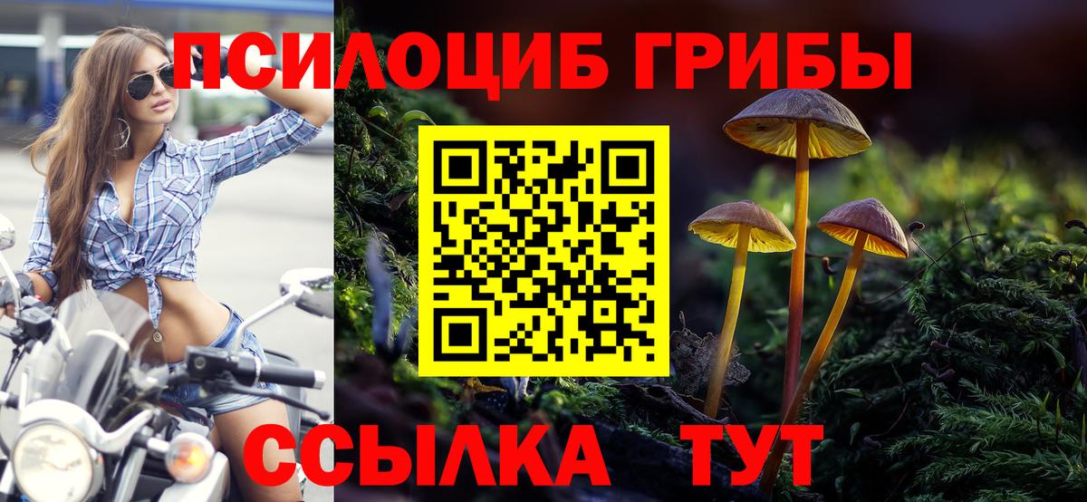 Псилоцибиновые грибы GOLDEN TEACHER  Вход с VPN  Псилоцибиновые грибы Psilocybine cubensis  Арзамас 